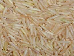 Manufacturers Exporters and Wholesale Suppliers of Basmati Brown Rice Nagpur Maharashtra